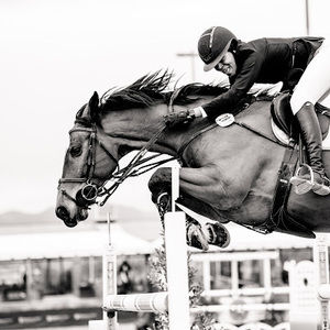 Meet your Posher, Addison